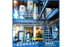 菜籽油生产线升级关键：精炼设备如何决定油